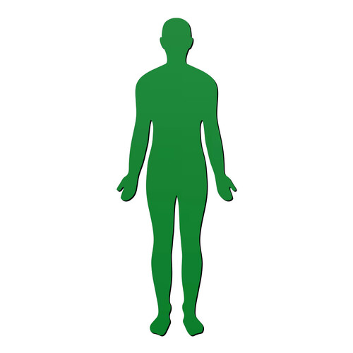 Recorte Silhueta Corpo Humano / MDF 3mm Verde