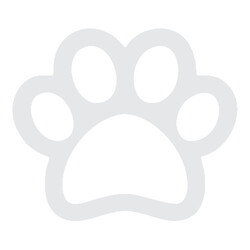 Featured image of post Patinha De Cachorro Fundo Transparente A nossa plataforma possui uma equipe altamente capacitada que mant m a sua compra segura e seus dados em total sigilo